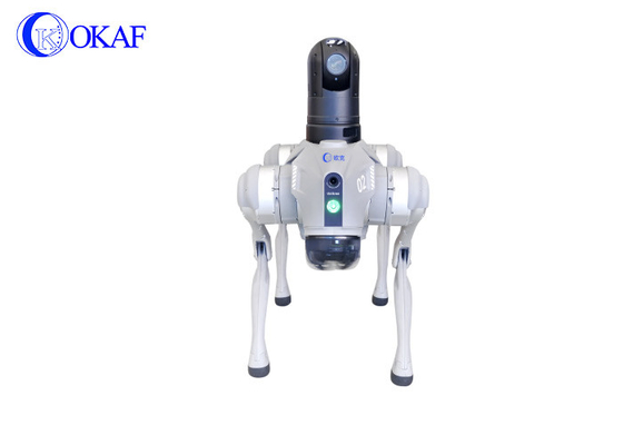 OKAF Havaalanı metro yüksek hızlı demiryolu biyolojik dört ayaklı robot köpek AI yüz tanıma devriye güvenlik robot köpeği