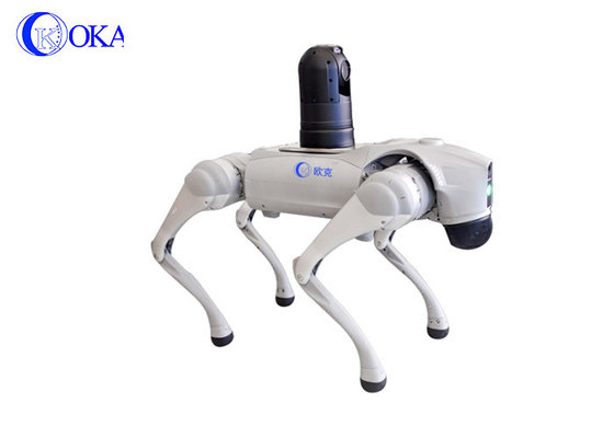 OKAF Havaalanı metro yüksek hızlı demiryolu biyolojik dört ayaklı robot köpek AI yüz tanıma devriye güvenlik robot köpeği